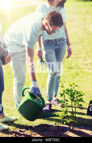 Un gruppo di volontari e di piantare alberi di irrigazione Foto Stock