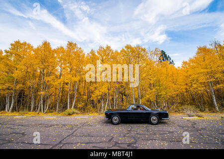 Un 1961 Lancia Flaminia auto circondato da Autunno a colori nel giugno del lago, California. Foto Stock