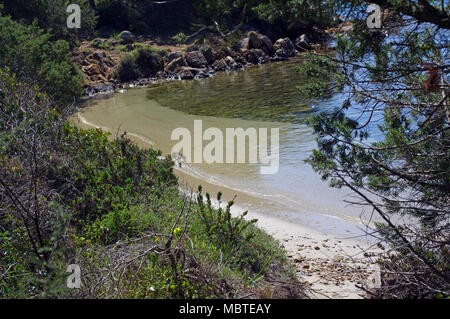 Palau Sardegna. Porto Mannu spiaggia in primavera Foto Stock