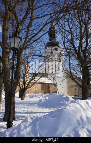 Toomkirik (aka Cattedrale Santa Maria) da Piiskopi Aed (il Vescovo Giardino)Toompea (la collina della Cattedrale) alla sera Foto Stock