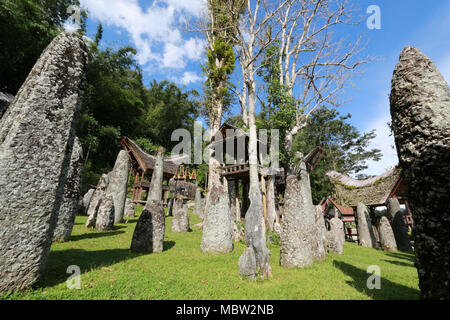 Classe superiore cimitero: Bori' Parinding megalitiche sito di sepoltura, Toraja, Sulawesi, Indonesia Foto Stock