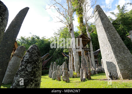 Classe superiore cimitero: Bori' Parinding megalitiche sito di sepoltura, Toraja, Sulawesi, Indonesia Foto Stock