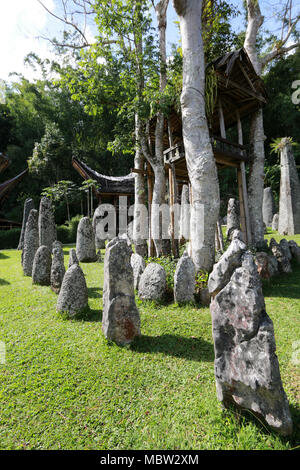 Classe superiore cimitero: Bori' Parinding megalitiche sito di sepoltura, Toraja, Sulawesi, Indonesia Foto Stock