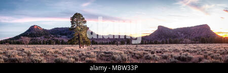 Vista panoramica di orsi orecchie monumento nazionale nel sud dello Utah in golden, nel tardo pomeriggio la luce del sole. Foto Stock