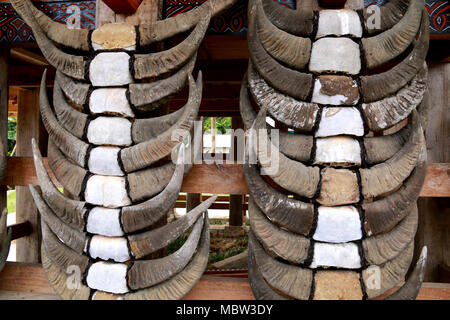 Buffalo le corna sulla testa di un Tongkonan in Toraja, Sulawesi, Indonesia Foto Stock