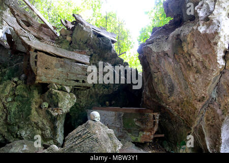 Il marcio bare, custodi dei morti (Tau-Tau's) e teschi umani in Tampang Allo grotta sepolcrale, Sulawesi, Indonesia Foto Stock