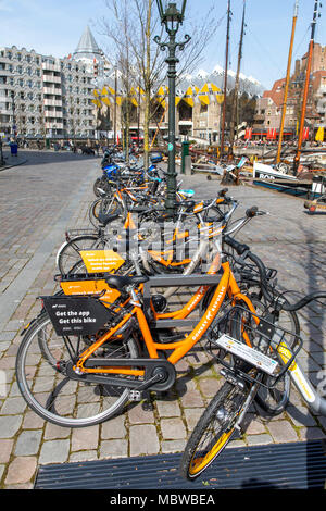 Noleggio di biciclette, nella città di Rotterdam South Holland, Paesi Bassi, affitto di app, le biciclette sono ovunque nella città di rum, provider Repubblica Donkey Bike Foto Stock