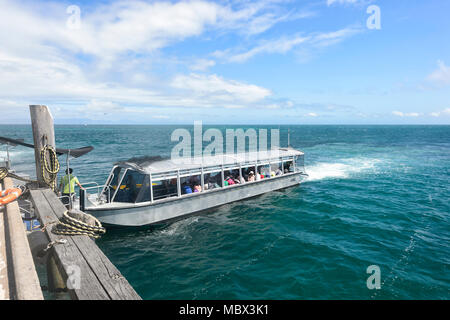 I turisti andando su per una crociera in barca dal fondo di vetro a Isola Verde, Great Barrier Reef Marine National Park, estremo Nord Queensland, QLD, FNQ, GBR, Austral Foto Stock