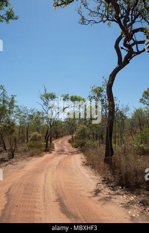 Una pista sterrata attraverso la boccola nel Parco Nazionale di Litchfield, Territorio del Nord, l'Australia Foto Stock