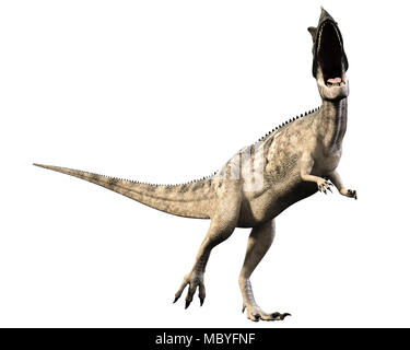 Dinosauro Cerataurus molto simile a quella di un Tirannosauro Rex. Mangiatore di carne biped. Foto Stock