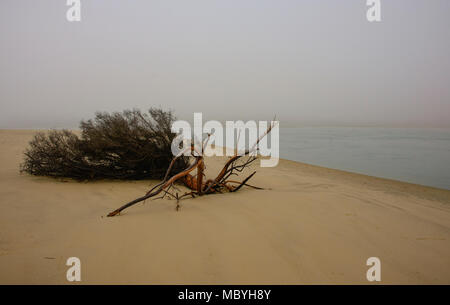 Spiaggia vuota, Surat Bay, il Catlins, Nuova Zelanda Foto Stock