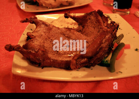 Fried Guy (cavia) guardando come un pollo fritto con quattro gambe, su di una piastra in un ristorante a Puno, Perù Foto Stock