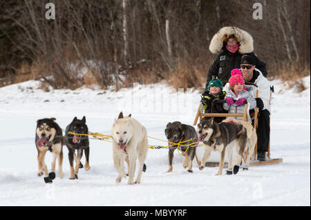 Uno Sled Dog team offre corse di Hillberg Ski Area visitatori a base comune Elmendorf-Richardson, Alaska, 14 gennaio 2018. Come parte della morale, il benessere e la ricreazione programma ospitato dal 673d forza squadrone di supporto e vita JBER Team, il Hillberg Ski Area offre quelli con accesso di base di una varietà di sport invernali e gli eventi. (U.S. Air Force foto di Alejandro Peña) Foto Stock