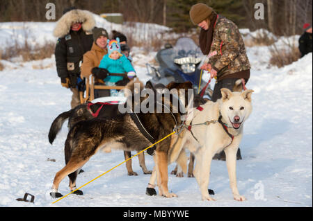 Uno Sled Dog team offre corse di Hillberg Ski Area visitatori a base comune Elmendorf-Richardson, Alaska, 14 gennaio 2018. Come parte della morale, il benessere e la ricreazione programma ospitato dal 673d forza squadrone di supporto e vita JBER Team, il Hillberg Ski Area offre quelli con accesso di base di una varietà di sport invernali e gli eventi. (U.S. Air Force foto di Alejandro Peña) Foto Stock