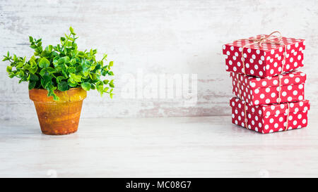 Un mucchio di puntini rossi confezioni regalo e un verde fiore in una rustica vaso di ceramica. Bianco sullo sfondo di legno, copia dello spazio. Foto Stock