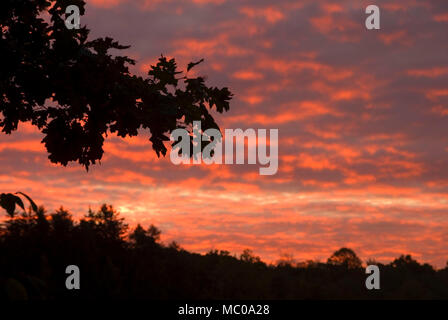 Sunrise a Hartford Serbatoio n. 6, West Hartford serbatoio, West Hartford, Connecticut Foto Stock