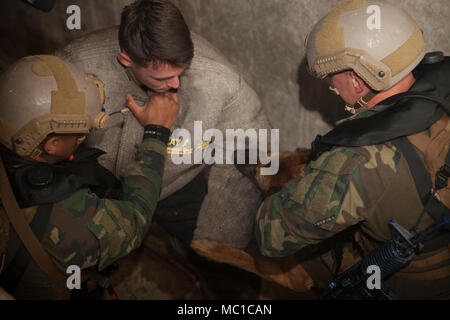 Un cane militare handler e team di canino apprehend un ruolo di giocatore aggressore durante la U.S. Marine Corps le forze per le operazioni speciali del comando multifunzione formazione canina di Key West, Fla., Gen 9, 2018. I gestori di cane eseguito questo scenario durante la loro formazione anfibio pacchetto, parte di un 16-settimana pipeline di formazione per produrre particolari operazioni multi-purpose gestori canino. (U.S. Marine Corps foto di Cpl. Bryann K. Whitley) Foto Stock