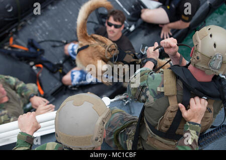 Un cane militare handler solleva i suoi cani al di fuori di un zodiaco e su un U.S. La guardia costiera della risposta veloce Cutter in una barca simulato raid durante U.S. Marine Corps le forze per le operazioni speciali del comando multi-purpose cani di formazione gestore di Key West, Fla., Gennaio 12, 2018. Cani trapanato su avanzate tecniche di inserimento e i profili di missione durante la fase finale del loro 16-settimana pipeline di formazione, che conducono alla loro certificazione come operazioni speciali multi-purpose gestori canino. (U.S. Marine Corps foto di Cpl. Bryann K. Whitley) Foto Stock