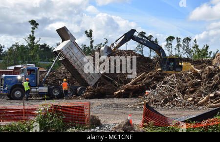 Cumuli di detriti vegetativa sono raccolti e ordinati da U.S. Esercito di ingegneri appaltatori in Puerto Rico, a sostegno dell'Uragano Maria gli sforzi di recupero. Foto Stock