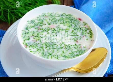 Slavo piatto tradizionale - Zuppa fredda 'Okroshka' su yogurt. Dietetici piatto rinfrescante. Vista superiore Foto Stock