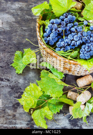 Uva,una bottiglia di vino, tappi e cavatappi su una tavola di legno vecchio tavolo stile rustico. Foto Stock