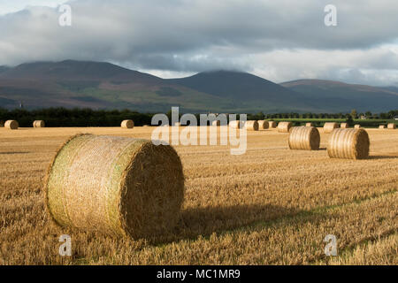 Round le balle di paglia nel campo di grano che si affaccia sulla Knockmealdown mountains. Ardfinnan, Tipperary, Irlanda Foto Stock