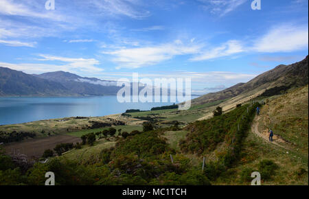 Trekking a picco istmo via vicino a Wanaka, Otago, Nuova Zelanda Foto Stock