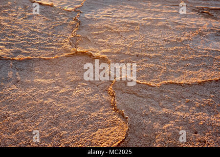 Golden la luce solare migliora la texture in crosta di sale sul lago a secco vicino a Mildura, Australia. Foto Stock