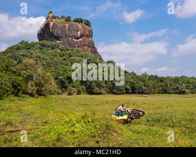 Vista orizzontale di un elefante in posa di fronte Sigiriya o Lion Rock in Sri Lanka. Foto Stock