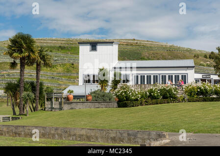 Il negozio del vino a La Valle Esk, Hawkes Bay vigneto e della cantina Nuova Zelanda Foto Stock