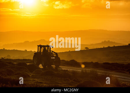 Un trattore è guidato lungo una strada in Hay Tor su Dartmoor nel Devon a sunrise. Foto Stock