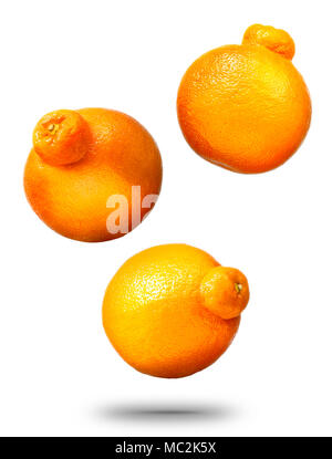 La caduta di mandarini o tangerini agrumi Foto Stock