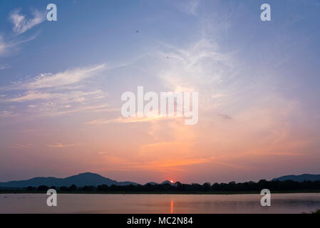 Vista orizzontale del tramonto sul Minneriya National Park in Sri Lanka. Foto Stock