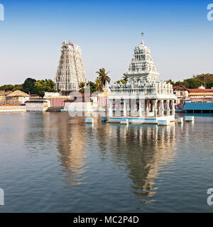 Tempio Thanumalayan Suchindram, Kanyakumari, Tamil Nadu, India Foto Stock