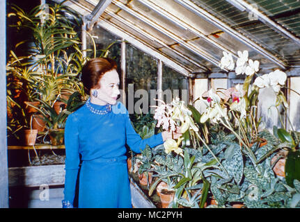 Wallis Simpson, Herzogin von Windsor, in ihrem Gewächshaus in Bois de Boulogne, Parigi, Frankreich 1974. La Duchessa di Windsor, Wallis Simpson, a sua serra in Bois de Boulogne vicino a Paris, Francia 1974. Foto Stock