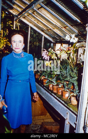 Wallis Simpson, Herzogin von Windsor, in ihrem Gewächshaus in Bois de Boulogne, Parigi, Frankreich 1974. La Duchessa di Windsor, Wallis Simpson, a sua serra in Bois de Boulogne vicino a Paris, Francia 1974. Foto Stock