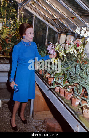 Wallis Simpson, Herzogin von Windsor, in ihrem Gewächshaus in Bois de Boulogne, Parigi, Frankreich 1974. La Duchessa di Windsor, Wallis Simpson, a sua serra in Bois de Boulogne vicino a Paris, Francia 1974. Foto Stock