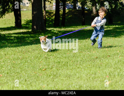Cane trascina capretto piccolo ragazzo sulla tesi guinzaglio Foto Stock