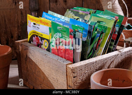 Orto sementi in pacchetti su legno Potting Shed panchina Foto Stock