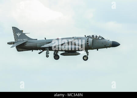 Royal Navy, Fleet Air Arm, BAe British Aerospace Sea Harrier F/A2, FRS2 caccia a getto verticale per decollo e atterraggio. Salta jet, salta in volo all'airshow Foto Stock