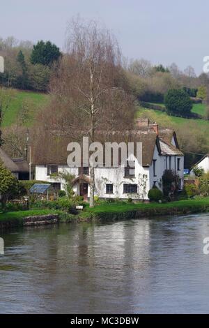 Bickleigh cottage sulla riva del fiume Exe in primavera. Un diciassettesimo secolo cottage con tetto in paglia. Tiverton, Devon, Regno Unito. Aprile, 2018. Foto Stock