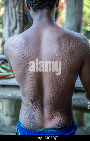 Cicatrici sulla schiena di un uomo Chambri a guardare come pelle di coccodrillo, Kanganaman village, Medio Sepik, Papua Nuova Guinea Foto Stock