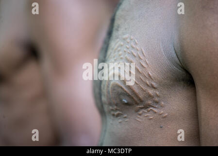 Dettagli di cicatrici sul nipplo indietro di un uomo Chambri a guardare come pelle di coccodrillo, Kanganaman village, Medio Sepik, Papua Nuova Guinea Foto Stock