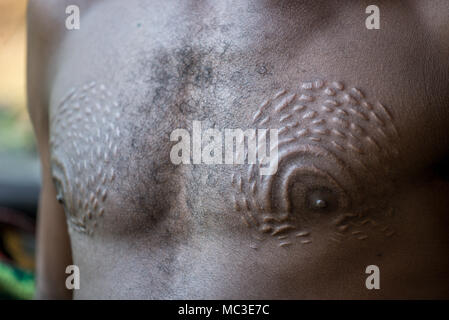 Cicatrici sul petto e i capezzoli di un uomo Chambri a guardare come pelle di coccodrillo, Kanganaman village, Medio Sepik, Papua Nuova Guinea Foto Stock