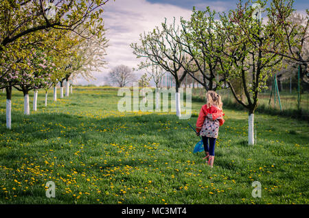 Adorabile bionda ragazza camminare in erba verde pieno di tarassaco sotto gli alberi con la fioritura fiori bianchi in primavera Foto Stock