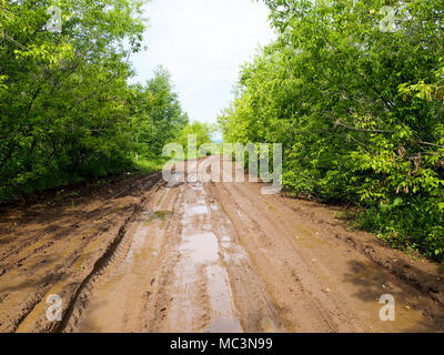 Wet fangoso country road, una strada di campagna con i solchi e pozzanghere, molla Foto Stock