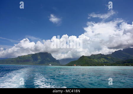 Nave da crociera ancorata al largo della costa di Mo'Orea, una delle isole Windward & Isole della Società, Polinesia francese, South Pacific. Foto Stock