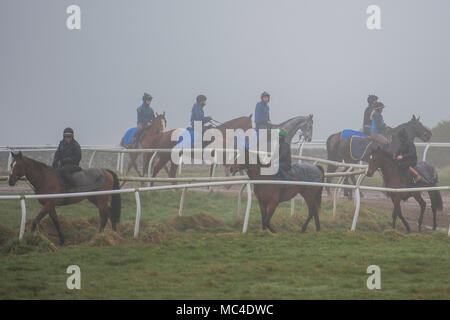 Middleham, nello Yorkshire, Regno Unito. Il 13 aprile 2018. I cavalli da corsa da Micky Hammond racing e altre scuderie treno nella nebbia e pioggia sul galoppa sopra Middleham, Yorkshire. Credito: Guy Bell/Alamy Live News Foto Stock