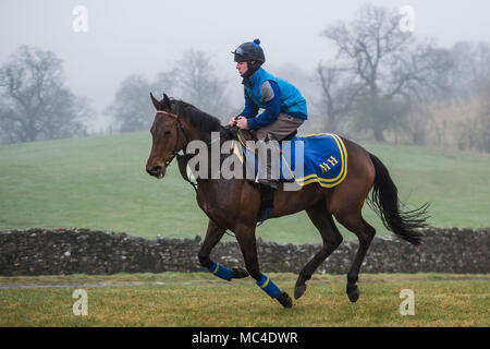 Middleham, nello Yorkshire, Regno Unito. Il 13 aprile 2018. I cavalli da corsa da Micky Hammond racing e altre scuderie treno nella nebbia e pioggia sul galoppa sopra Middleham, Yorkshire. Credito: Guy Bell/Alamy Live News Foto Stock