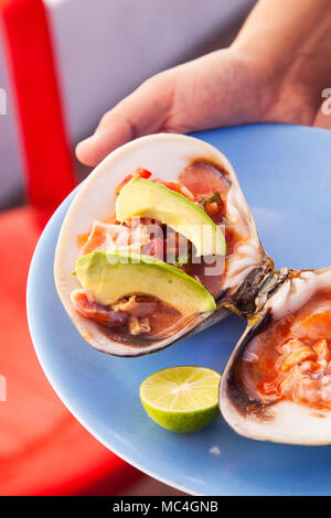 Pismo vongole, La Guerrerense, Ensenada, Baja California, Messico Foto Stock